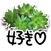 อิโมจิไลน์ Green plants and message