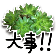 อิโมจิไลน์ Green plants and message