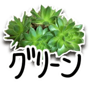 อิโมจิไลน์ Green plants and message