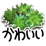 อิโมจิไลน์ Green plants and message