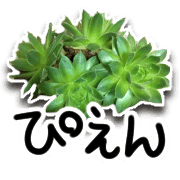 อิโมจิไลน์ Green plants and message