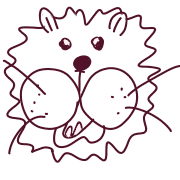 005