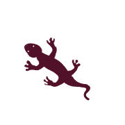 028
