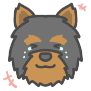 003