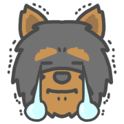 010