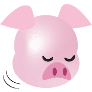 004