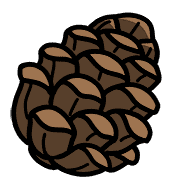 ลายที่ 1