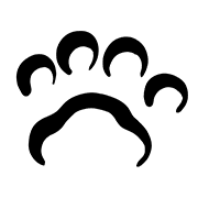 ลายที่ 11