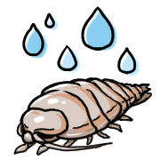 อิโมจิไลน์ Happy Bathynomous dorsalis Emoji