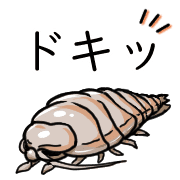 อิโมจิไลน์ Happy Bathynomous dorsalis Emoji