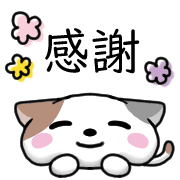 อิโมจิไลน์ Happy cat Emoji 2