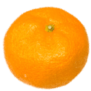 อิโมจิไลน์ orange -Japanese MIKAN-