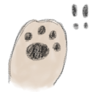 ลายที่ 20