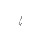 ลายที่ 25