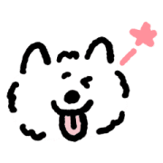 DOUHUA THE SAMOYED รูปที่ 17