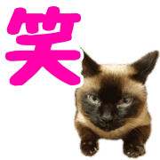 อิโมจิไลน์ DAN-chan Emoji