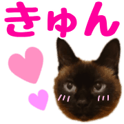 อิโมจิไลน์ DAN-chan Emoji