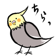 อิโมจิไลน์ Cute cockatiels and everyday emoji