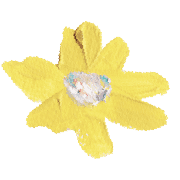 tiny bloom by givememuseums รูปที่ 19