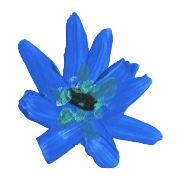 tiny bloom by givememuseums รูปที่ 30
