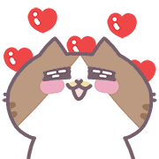 ลายที่ 11