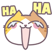 ลายที่ 13