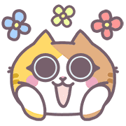 ลายที่ 51