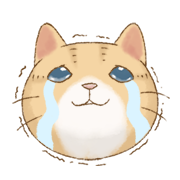 Cat's Lifestyle อิโมจิแอนิเมชัน รูปที่ 30