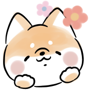 Moving Shiba Inu Dog EMOJI รูปที่ 5
