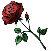 Black Blood - Roses รูปที่ 10