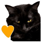 อิโมจิไลน์ Black cat,daily use emoji