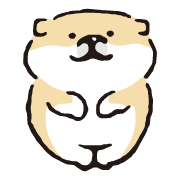 SHIBANBA Emoji (moving) รูปที่ 28