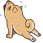 What's up,Kid? Animated Emoji รูปที่ 5