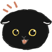 [Resale] Black cat