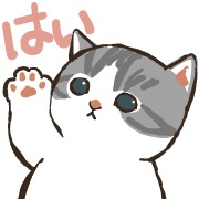 ลายที่ 15