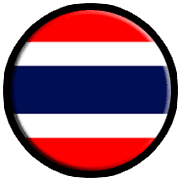 ลายที่ 33