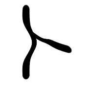 100