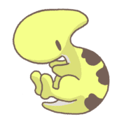 029