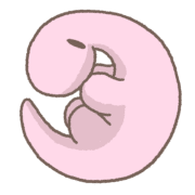 031