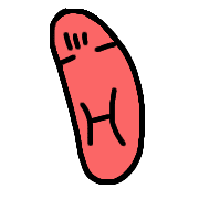 009