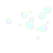 019