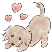 Dachshund . 2
