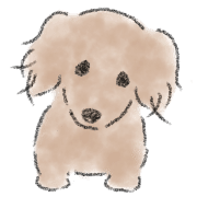 Dachshund . 2