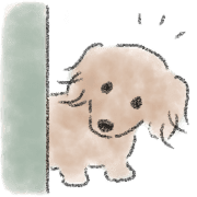 Dachshund . 2