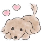 Dachshund . 2