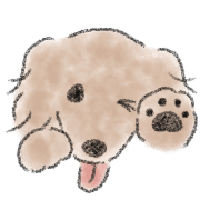 Dachshund . 2 รูปที่ 6