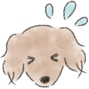 Dachshund . 2 รูปที่ 7