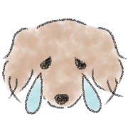 Dachshund . 2 รูปที่ 8