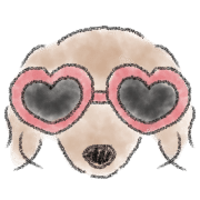 Dachshund . 2 รูปที่ 10