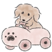 Dachshund . 2 รูปที่ 13